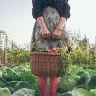 afarmgal